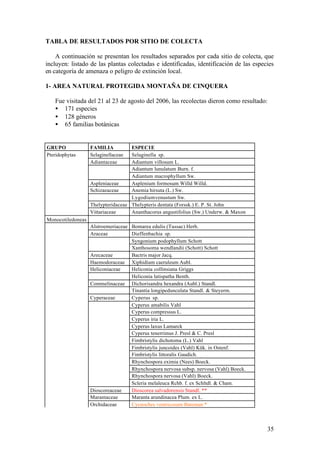 TABLA DE RESULTADOS POR SITIO DE COLECTA

    A continuación se presentan los resultados separados por cada sitio de colecta, que
incluyen: listado de las plantas colectadas e identificadas, identificación de las especies
en categoría de amenaza o peligro de extinción local.

1- AREA NATURAL PROTEGIDA MONTAÑA DE CINQUERA

   Fue visitada del 21 al 23 de agosto del 2006, las recolectas dieron como resultado:
   • 171 especies
   • 128 géneros
   • 65 familias botánicas


GRUPO              FAMILIA          ESPECIE
Pteridophytas      Selaginellaceae  Selaginella sp.
                   Adiantaceae      Adiantum villosum L.
                                    Adiantum lunulatum Burn. f.
                                    Adiantum macrophyllum Sw.
                   Aspleniaceae     Asplenium formosum Willd Willd.
                   Schizaeaceae     Anemia hirsuta (L.) Sw.
                                    Lygodium venustum Sw.
                   Thelypteridaceae Thelypteris dentata (Forssk.) E. P. St. John
                   Vittariaceae     Ananthacorus angustifolius (Sw.) Underw. & Maxon
Monocotiledoneas
                   Alstroemeriaceae Bomarea edulis (Tussac) Herb.
                   Araceae          Dieffenbachia sp.
                                    Syngonium podophyllum Schott
                                    Xanthosoma wendlandii (Schott) Schott
                   Arecaceae        Bactris major Jacq.
                   Haemodoraceae Xiphidium caeruleum Aubl.
                   Heliconiaceae    Heliconia collinsiana Griggs
                                    Heliconia latispatha Benth.
                   Commelinaceae Dichorisandra hexandra (Aubl.) Standl.
                                    Tinantia longipedunculata Standl. & Steyerm.
                   Cyperaceae       Cyperus sp.
                                    Cyperus amabilis Vahl
                                    Cyperus compressus L.
                                    Cyperus iria L.
                                    Cyperus laxus Lamarck
                                    Cyperus tenerrimus J. Presl & C. Presl
                                    Fimbristylis dichotoma (L.) Vahl
                                    Fimbristylis juncoides (Vahl) Kük. in Ostenf.
                                    Fimbristylis littoralis Gaudich.
                                    Rhynchospora eximia (Nees) Boeck.
                                    Rhynchospora nervosa subsp. nervosa (Vahl) Boeck.
                                    Rhynchospora nervosa (Vahl) Boeck.
                                    Scleria melaleuca Rchb. f. ex Schltdl. & Cham.
                   Dioscoreaceae    Dioscorea salvadorensis Standl. **
                   Marantaceae      Maranta arundinacea Plum. ex L.
                   Orchidaceae      Cycnoches ventricosum Bateman *



                                                                                        35
 