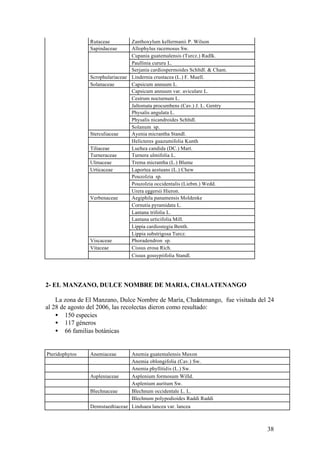 Rutaceae         Zanthoxylum kellermanii P. Wilson
                Sapindaceae      Allophylus racemosus Sw.
                                 Cupania guatemalensis (Turcz.) Radlk.
                                 Paullinia cururu L.
                                 Serjania cardiospermoides Schltdl. & Cham.
                Scrophulariaceae Lindernia crustacea (L.) F. Muell.
                Solanaceae       Capsicum annuum L.
                                 Capsicum annuum var. aviculare L.
                                 Cestrum nocturnum L.
                                 Jaltomata procumbens (Cav.) J. L. Gentry
                                 Physalis angulata L.
                                 Physalis nicandroides Schltdl.
                                 Solanum sp.
                Sterculiaceae    Ayenia micrantha Standl.
                                 Helicteres guazumifolia Kunth
                Tiliaceae        Luehea candida (DC.) Mart.
                Turneraceae      Turnera ulmifolia L.
                Ulmaceae         Trema micrantha (L.) Blume
                Urticaceae       Laportea aestuans (L.) Chew
                                 Pouzolzia sp.
                                 Pouzolzia occidentalis (Liebm.) Wedd.
                                 Urera eggersii Hieron.
                Verbenaceae      Aegiphila panamensis Moldenke
                                 Cornutia pyramidata L.
                                 Lantana trifolia L.
                                 Lantana urticifolia Mill.
                                 Lippia cardiostegia Benth.
                                 Lippia substrigosa Turcz.
                Viscaceae        Phoradendron sp.
                Vitaceae         Cissus erosa Rich.
                                 Cissus gossypiifolia Standl.




2- EL MANZANO, DULCE NOMBRE DE MARIA, CHALATENANGO

    La zona de El Manzano, Dulce Nombre de María, Chalatenango, fue visitada del 24
al 28 de agosto del 2006, las recolectas dieron como resultado:
    • 150 especies
    • 117 géneros
    • 66 familias botánicas


Pteridophytos   Anemiaceae        Anemia guatemalensis Maxon
                                  Anemia oblongifolia (Cav.) Sw.
                                  Anemia phyllitidis (L.) Sw.
                Aspleniaceae      Asplenium formosum Willd.
                                  Asplenium auritum Sw.
                Blechnaceae       Blechnum occidentale L. L.
                                  Blechnum polypodioides Raddi Raddi
                Dennstaedtiaceae Lindsaea lancea var. lancea



                                                                                38
 