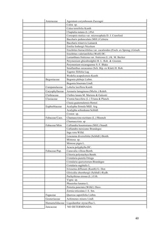 Asteraceae        Ageratum corymbosum Zuccagni
                  Calea sp.
                  Calea ternifolia Kunth
                  Chaptalia nutans (L.) Pol.
                  Coreopsis mutica var. microcephala D. J. Crawford
                  Baccharis pedunculata (Mill.) Cabrera
                  Baccharis trinervis Lamarck
                  Emilia fosbergii Nicolson
                  Erechtites hieraciifolius var. cacalioides (Fisch. ex Spreng.) Griseb.
                  Erechtites valerianifolia (Wolf) DC.
                  Lasianthaea fruticosa var. fruticosa (L.) K. M. Becker
                  Perymenium ghiesbredghtii B. L. Rob. & Greenm.
                  Perymenium nicaraguense S. F. Blake
                  Smallanthus oaxacanus (Sch. Bip. ex Klatt) H. Rob.
                  Tagetes filifolia Lag.
                  Wedelia acapulcensis Kunth
Begoniaceae       Begonia plebeja Liebm.
                  Begonia biserrata Lindl.
Campanulaceae     Lobelia laxiflora Kunth
Caryophyllaceae   Arenaria lanuginosa (Michx.) Rohrb.
Clethraceae       Clethra lanata M. Martens & Galeotti
Clusiaceae        Vismia baccifera (L.) Triana & Planch.
                  Clusia guatemalensis Hemsl.
Euphorbiaceae     Acalypha firmula Müll. Arg.
                  Acalypha schiedeana Schltdl.
                  Croton sp.
Fabaceae/Caes.    Chamaecrista nictitans (L.) Moench
                  Chamaecrista sp
Fabaceae/Mim.     Calliandra houstoniana (Mill.) Standl.
                  Calliandra mexicana Brandegee
                  Inga vera Willd.
                  Leucaena diversifolia (Schltdl.) Benth.
                  Mimosa sp.
                  Mimosa pigra L.
                  Acacia polyphylla DC.
Fabaceae/Pap.     Canavalia villosa Benth.
                  Clitoria polystachya Benth.
                  Crotalaria pumila Ortega
                  Crotalaria quercetorum Brandegee
                  Crotalaria sagittalis L.
                  Eriosema diffusum (Kunth) G. Don
                  Gliricidia ehrenbergii (Schltdl.) Rydb.
                  Pachyrhizus erosus (L.) Urb.
                  Vigna sp.
                  Phaseolus lunatus L.
                  Poiretia punctata (Willd.) Desv.
                  Zornia reticulata J. E. Sm.
Fagaceae          Quercus sapotifolia Liebm.
Gesneriaceae      Achimenes misera Lindl.
Hamamelidaceae Liquidambar styraciflua L.
Juncaceae      NO DETERMINADA



                                                                                   40
 