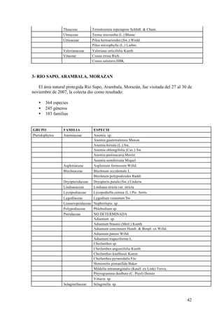 Theaceae           Ternstroemia tepezapote Schltdl. & Cham.
                Ulmaceae           Trema micrantha (L.) Blume
                Urticaceae         Pilea herniarioides (Sw.) Wedd.
                                   Pilea microphylla (L.) Liebm.
                Valerianaceae      Valeriana urticifolia Kunth
                Vitaceae           Cissus erosa Rich.
                                   Cissus salutaris HBK



3- RIO SAPO, ARAMBALA, MORAZAN

   El área natural protegida Río Sapo, Arambala, Morazán, fue visitada del 27 al 30 de
noviembre de 2007, la colecta dio como resultado:

   •   364 especies
   •   245 géneros
   •   103 familias


GRUPO           FAMILIA            ESPECIE
Pteridophytos   Anemiaceae         Anemia sp.
                                   Anemia guatemalensis Maxon
                                   Anemia hirsuta (L.) Sw.
                                   Anemia oblongifolia (Cav.) Sw.
                                   Anemia pastinacaria Moritz
                                   Anemia semihirsuta Miquel
                Aspleniaceae       Asplenium formosum Willd.
                Blechnaceae        Blechnum occidentale L.
                                   Blechnum polypodioides Raddi
                Dryopteridaceae    Dryopteris patula (Sw.) Underw.
                Lindsaeaceae       Lindsaea stricta var. stricta
                Lycopodiaceae      Lycopodiella cernua (L.) Pic. Serm.
                Lygodiaceae        Lygodium venustum Sw.
                Lomariopsidaceae   Nephrolepis sp.
                Polypodiaceae      Phlebodium sp.
                Pteridaceae        NO DETERMINADA
                                   Adiantum sp.
                                   Adiantum braunii (Mett.) Kunth
                                   Adiantum concinnum Humb. & Bonpl. ex Willd.
                                   Adiantum patens Willd.
                                   Adiantum trapeziforme L.
                                   Cheilanthes sp.
                                   Cheilanthes angustifolia Kunth
                                   Cheilanthes kaulfussii Kunze
                                   Cheilanthes pyramidalis Fée
                                   Hemionitis pinnatifida Baker
                                   Mildella intramarginalis (Kaulf. ex Link) Trevis.
                                   Pityrogramma dealbata (C. Presl) Domin
                                   Vittaria sp.
                Selaginellaceae    Selaginella sp.



                                                                                       42
 