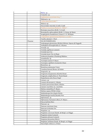Bletia sp.
          Cranichis sp.
          Epidendrum nocturnum Jacq. *
          Habenaria sp.
          Laelia rubescens Lindl. *
          Malaxis sp.
          Oeceoclades maculata (Lindl.) Lindl.
          Ponthieva racemosa (Walter) C. Mohr *
          Restrepia muscifera (Rchb. f.) Lindl.
          Restrepiella ophiocephala (Rchb. f.) Garay & Dunst.
          Scaphyglottis hondurensis (Ames) L. O. Williams
          Trigonidium egertonianum Bateman ex Lindl. *
          Vanilla odorata C. Presl
Poaceae   NO DETERMINADA
          Andropogon glomeratus (Walter) Britton, Sperns & Poggenb.
          Anthephora hermaphrodita (L.) Kuntze
          Aristida sp.
          Aristida capillacea Lamarck
          Aristida laxa Cav.
          Aristida tincta Trin. & Rupr.
          Arthraxon hispidus (Thunberg) Makino
          Arundinella sp.
          Axonopus aureus P. Beauv.
          Axonopus capillaris (Lamarck) Chase
          Bouteloua sp.
          Bouteloua alamosana Vasey
          Cenchrus brownii Roem. & Schult.
          Eragrostis sp.
          Eragrostis maypurensis (Kunth) Steud.
          Eragrostis simpliciflora (J. Presl) Steud.
          Hyparrhenia rufa (Nees) Stapf
          Lasiacis sp.
          Lasiacis divaricata (L.) Hitchc.
          Lasiacis procerrima (Hack.) Hitchc.
          Lasiacis ruscifolia var. ruscifolia
          Melinis minutiflora P. Beauv.
          Melinis repens (Willd.) Zizka
          Muhlenbergia breviligula Hitchc.
          Muhlenbergia tenella (Kunth) Trin.
          Oplismenus sp.
          Oplismenus burmannii (Retz.) P. Beauv.
          Oryza latifolia Desv.
          Panicum sp.
          Panicum maximum Jacq.
          Panicum trichoides Sw.
          Paspalum sp.
          Paspalum convexum Humb. & Bonpl. ex Flüggé
          Paspalum nutans Lamarck
          Paspalum pilosum Lamarck
          Paspalum plicatulum Michx.
          Paspalum stellatum Humb. & Bonpl. ex Flüggé
          Sacciolepis indica (L.) Chase



                                                                      44
 