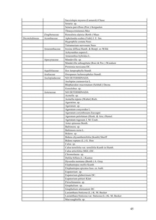 Sacciolepis myuros (Lamarck) Chase
                                  Setaria sp.
                                  Setaria parviflora (Poir.) Kerguelen
                                  Thrasya trinitensis Mez
                 Zingiberaceae    Renealmia alpinia (Rottb.) Maas
Dicoteledóneas   Acanthaceae      Aphelandra scabra (Vahl) J. E. Sm.
                                  Hygrophila costata Nees
                                  Tetramerium nervosum Nees
                 Amaranthaceae    Iresine diffusa Humb. & Bonpl. ex Willd.
                                  Achyranthes aspera L.
                                  Amaranthus hybridus L.
                 Apocynaceae      Mandevilla sp.
                                  Mandevilla subsagittata (Ruiz & Pav.) Woodson
                                  Prestonia mexicana DC.
                 Aquifoliaceae    Ilex lamprophylla Standl.
                 Araliaceae       Oreopanax lachnocephalus Standl.
                 Asclepiadaceae   NO DETERMINADA
                                  Asclepias curassavica L.
                                  Blepharodon mucronatum (Schltdl.) Decne.
                                  Gonolobus sp.
                 Asteraceae       NO DETERMINADA
                                  Acmella sp.
                                  Acmella repens (Walter) Rich.
                                  Ageratina sp.
                                  Ageratum sp.
                                  Ageratum conyzoides L.
                                  Ageratum corymbosum Zuccagni
                                  Ageratum petiolatum (Hook. & Arn.) Hemsl.
                                  Ageratum rugosum J. M. Coult.
                                  Aster spinosus Benth.
                                  Baltimora sp.
                                  Baltimora recta L.
                                  Bidens sp.
                                  Bidens chysanthemifolia (Kunth) Sherff
                                  Bidens reptans (L.) G. Don
                                  Calea sp.
                                  Calea ternifolia var. ternifolia Kunth in Humb.
                                  Calea urticifolia (Mill.) DC.
                                  Chromolaena sp.
                                  Delilia biflora (L.) Kuntze
                                  Dyssodia montana (Benth.) A. Gray
                                  Elephantopus mollis Kunth
                                  Elephantopus spicatus Juss. ex Aubl.
                                  Eupatorium sp.
                                  Eupatorium glaberrinum DC.
                                  Eupatorium pittieri Klatt
                                  Fleischmannia sp.
                                  Gnaphalium sp.
                                  Gnaphalium attenuatum DC.
                                  Lasianthaea fruticosa (L.) K. M. Becker
                                  Lasianthaea fruticosa var. fruticosa (L.) K. M. Becker
                                  Macvaughiella sp.


                                                                                           45
 