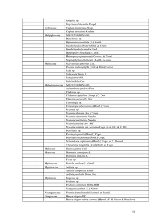 Spigelia sp.
                  Strychnos chlorantha Progel
Lythraceae        Cuphea hookeriana Walp.
                  Cuphea utriculosa Koehne
Malpighiaceae     NO DETERMINADA
                  Bunchosia sp.
                  Byrsonima crassifolia (L.) Kunth
                  Gaudichaudia albida Schltdl. & Cham.
                  Gaudichaudia hexandra Nied.
                  Heteropterys brachiata (L.) DC.
                  Heteropterys panamensis Cuatrec. & Croat
                  Stigmaphyllon ellipticum (Kunth) A. Juss.
Malvaceae         Malvaviscus arboreus Cav.
                  Pavonia malacophylla (Link & Otto) Garcke
                  Sida sp.
                  Sida acuta Burm. f.
                  Sida glabra Mill.
                  Sida linifolia Cav.
Melastomataceae   NO DETERMINADA
                  Acisanthera quadrata Pers.
                  Clidemia sp.
                  Clidemia capitellata (Bonpl.) D. Don
                  Clidemia sericea D. Don
                  Conostegia sp.
                  Conostegia subcrustulata (Beurl.) Triana
                  Miconia sp.
                  Miconia albicans (Sw.) Triana
                  Miconia chamissois Naudin
                  Miconia lauriformis Naudin
                  Miconia prasina (Sw.) DC.
                  Miconia tonduzii var. serrulata Cogn. in A. DC. & C. DC.
                  Pterolepis sp.
                  Pterolepis pumila (Bonpl.) Cogn.
                  Pterolepis trichotoma (Rottb.) Cogn.
                  Schwackaea cupheoides (Benth.) Cogn. ex T. Durand
                  Tibouchina longifolia (Vahl) Baill. ex Cogn.
Meliaceae         Guarea glabra Vahl
Moraceae          Dorstenia contrajerva L.
                  Dorstenia drakena L.
                  Ficus sp.
Myricaceae        Morella cerifera (L.) Small
Myrsinaceae       Ardisia sp.
                  Ardisia compressa Kunth
                  Ardisia paschalis Donn. Sm.
Myrtaceae         Eugenia sp.
                  Psidium sp.
                  Psidium confertum HOWARD
                  Syzygium jambos (L.) Alston
Nyctaginaceae     Pisonia donnellsmithii Heimerl ex Standl.
Onagraceae        Hauya elegans DC.
                  Hauya elegans subsp. cornuta (Hemsl.) P. H. Raven & Breedlove



                                                                             49
 