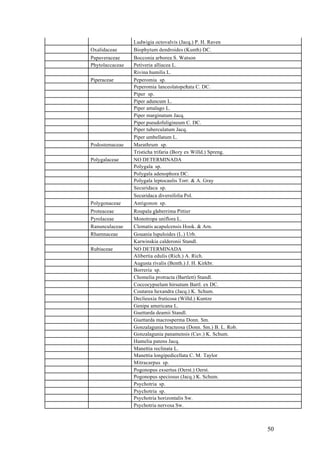 Ludwigia octovalvis (Jacq.) P. H. Raven
Oxalidaceae      Biophytum dendroides (Kunth) DC.
Papaveraceae     Bocconia arborea S. Watson
Phytolaccaceae   Petiveria alliacea L.
                 Rivina humilis L.
Piperaceae       Peperomia sp.
                 Peperomia lanceolatopeltata C. DC.
                 Piper sp.
                 Piper aduncum L.
                 Piper amalago L.
                 Piper marginatum Jacq.
                 Piper pseudofuligineum C. DC.
                 Piper tuberculatum Jacq.
                 Piper umbellatum L.
Podostemaceae    Marathrum sp.
                 Tristicha trifaria (Bory ex Willd.) Spreng.
Polygalaceae     NO DETERMINADA
                 Polygala sp.
                 Polygala adenophora DC.
                 Polygala leptocaulis Torr. & A. Gray
                 Securidaca sp.
                 Securidaca diversifolia Pol.
Polygonaceae     Antigonon sp.
Proteaceae       Roupala glaberrima Pittier
Pyrolaceae       Monotropa uniflora L.
Ranunculaceae    Clematis acapulcensis Hook. & Arn.
Rhamnaceae       Gouania lupuloides (L.) Urb.
                 Karwinskia calderonii Standl.
Rubiaceae        NO DETERMINADA
                 Alibertia edulis (Rich.) A. Rich.
                 Augusta rivalis (Benth.) J. H. Kirkbr.
                 Borreria sp.
                 Chomelia protracta (Bartlett) Standl.
                 Coccocypselum hirsutum Bartl. ex DC.
                 Coutarea hexandra (Jacq.) K. Schum.
                 Declieuxia fruticosa (Willd.) Kuntze
                 Genipa americana L.
                 Guettarda deamii Standl.
                 Guettarda macrosperma Donn. Sm.
                 Gonzalagunia bracteosa (Donn. Sm.) B. L. Rob.
                 Gonzalagunia panamensis (Cav.) K. Schum.
                 Hamelia patens Jacq.
                 Manettia reclinata L.
                 Manettia longipedicellata C. M. Taylor
                 Mitracarpus sp.
                 Pogonopus exsertus (Oerst.) Oerst.
                 Pogonopus speciosus (Jacq.) K. Schum.
                 Psychotria sp.
                 Psychotria sp.
                 Psychotria horizontalis Sw.
                 Psychotria nervosa Sw.



                                                                 50
 
