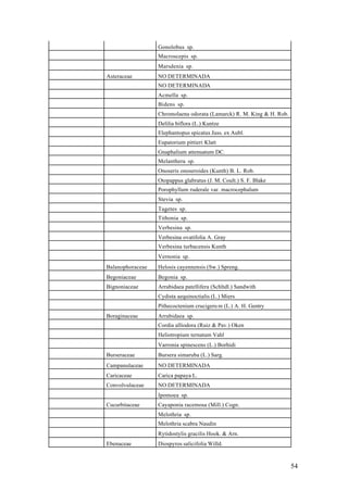 Gonolobus sp.
                  Macroscepis sp.
                  Marsdenia sp.
Asteraceae        NO DETERMINADA
                  NO DETERMINADA
                  Acmella sp.
                  Bidens sp.
                  Chromolaena odorata (Lamarck) R. M. King & H. Rob.
                  Delilia biflora (L.) Kuntze
                  Elephantopus spicatus Juss. ex Aubl.
                  Eupatorium pittieri Klatt
                  Gnaphalium attenuatum DC.
                  Melanthera sp.
                  Onoseris onoseroides (Kunth) B. L. Rob.
                  Otopappus glabratus (J. M. Coult.) S. F. Blake
                  Porophyllum ruderale var. macrocephalum
                  Stevia sp.
                  Tagetes sp.
                  Tithonia sp.
                  Verbesina sp.
                  Verbesina ovatifolia A. Gray
                  Verbesina turbacensis Kunth
                  Vernonia sp.
Balanophoraceae   Helosis cayennensis (Sw.) Spreng.
Begoniaceae       Begonia sp.
Bignoniaceae      Arrabidaea patellifera (Schltdl.) Sandwith
                  Cydista aequinoctialis (L.) Miers
                  Pithecoctenium crucigeru m (L.) A. H. Gentry
Boraginaceae      Arrabidaea sp.
                  Cordia alliodora (Ruiz & Pav.) Oken
                  Heliotropium ternatum Vahl
                  Varronia spinescens (L.) Borhidi
Burseraceae       Bursera simaruba (L.) Sarg.
Campanulaceae     NO DETERMINADA
Caricaceae        Carica papaya L.
Convolvulaceae    NO DETERMINADA
                  Ipomoea sp.
Cucurbitaceae     Cayaponia racemosa (Mill.) Cogn.
                  Melothria sp.
                  Melothria scabra Naudin
                  Rytidostylis gracilis Hook. & Arn.
Ebenaceae         Diospyros salicifolia Willd.



                                                                       54
 