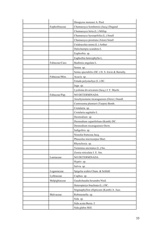 Diospyros morenoi A. Pool
Euphorbiaceae    Chamaesyce bombensis (Jacq.) Dugand
                 Chamaesyce hirta (L.) Millsp.
                 Chamaesyce hyssopifolia (L.) Small
                 Chamaesyce prostrata (Aiton) Small
                 Cnidoscolus urens (L.) Arthur
                 Dalechampia scandens L.
                 Euphorbia sp.
                 Euphorbia heterophylla L.
Fabaceae/Caes.   Bauhinia ungulata L.
                 Senna sp.
                 Senna spectabilis (DC.) H. S. Irwin & Barneby
Fabaceae/Mim.    Acacia sp.
                 Entada polystachya (L.) DC.
                 Inga sp.
                 Lysiloma divaricatum (Jacq.) J. F. Macbr.
Fabaceae/Pap.    NO DETERMINADA
                 Aeschynomene nicaraguensis (Oerst.) Standl.
                 Centrosema plumieri (Turpin) Benth.
                 Crotalaria sp.
                 Crotalaria sagittalis L.
                 Desmodium sp.
                 Desmodium cajanifolium (Kunth) DC.
                 Desmodium nicaraguensis Oerst.
                 Indigofera sp.
                 Nissolia fruticosa Jacq.
                 Phaseolus microcarpus Mart.
                 Rhynchosia sp.
                 Teramnus uncinatus (L.) Sw.
                 Zornia reticulata J. E. Sm.
Lamiaceae        NO DETERMINADA
                 Hyptis sp.
                 Salvia sp.
Loganiaceae      Spigelia scabra Cham. & Schltdl.
Lythraceae       Cuphea sp.
Malpighiaceae    Gaudichaudia hexandra Nied.
                 Heteropterys brachiata (L.) DC.
                 Stigmaphyllon ellipticum (Kunth) A. Juss.
Malvaceae        Robinsonella sp.
                 Sida sp.
                 Sida acuta Burm. f.
                 Sida glabra Mill.



                                                                 55
 