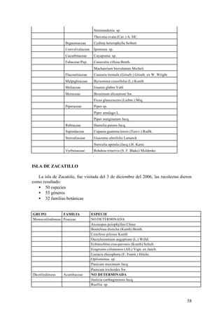 Stemmadenia sp.
                                    Thevetia ovata (Cav.) A. DC.
                  Bignoniaceae      Cydista heterophylla Seibert
                  Convolvulaceae    Ipomoea sp.
                  Cucurbitaceae     Cayaponia sp.
                  Fabaceae/Pap.     Canavalia villosa Benth.
                                    Machaerium biovulatum Micheli
                  Flacourtiaceae    Casearia tremula (Griseb.) Griseb. ex W. Wright
                  Malpighiaceae     Byrsonima crassifolia (L.) Kunth
                  Meliaceae         Guarea glabra Vahl
                  Moraceae          Brosimum alicastrum Sw.
                                    Ficus glaucescens (Liebm.) Miq.
                  Piperaceae        Piper sp.
                                    Piper amalago L.
                                    Piper marginatum Jacq.
                  Rubiaceae         Hamelia patens Jacq.
                  Sapindaceae       Cupania guatema lensis (Turcz.) Radlk.
                  Sterculiaceae     Guazuma ulmifolia Lamarck
                                    Sterculia apetala (Jacq.) H. Karst.
                  Verbenaceae       Rehdera trinervis (S. F. Blake) Moldenke



ISLA DE ZACATILLO

   La isla de Zacatiilo, fue visitada del 3 de diciembre del 2006, las recolectas dieron
como resultado:
   • 50 especies
   • 55 géneros
   • 32 familias botánicas


GRUPO            FAMILIA           ESPECIE
Monocotiledóneas Poaceae           NO DETERMINADA
                                   Axonopus poiophyllus Chase
                                   Bouteloua disticha (Kunth) Benth.
                                   Cenchrus pilosus Kunth
                                   Dactyloctenium aegyptium (L.) Willd.
                                   Echinochloa crus-pavonis (Kunth) Schult.
                                   Eragrostis cilianensis (All.) Vign. ex Janch.
                                   Lasiacis rhizophora (E. Fourn.) Hitchc.
                                   Oplismenus sp.
                                   Panicum maximum Jacq.
                                   Panicum trichoides Sw.
Dicotiledóneas   Acanthaceae       NO DETERMINADA
                                   Justicia carthaginensis Jacq.
                                   Ruellia sp.



                                                                                      58
 