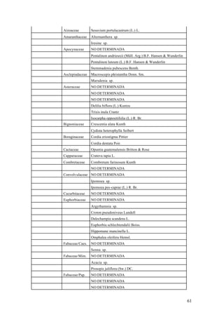 Aizoaceae        Sesuvium portulacastrum (L.) L.
Amaranthaceae    Alternanthera sp.
                 Iresine sp.
Apocynaceae      NO DETERMINADA
                 Pentalinon andrieuxii (Müll. Arg.) B.F. Hansen & Wunderlin
                 Pentalinon luteum (L.) B.F. Hansen & Wunderlin
                 Stemmadenia pubescens Benth.
Asclepiadaceae   Macroscepis pleistantha Donn. Sm.
                 Marsdenia sp.
Asteraceae       NO DETERMINADA
                 NO DETERMINADA
                 NO DETERMINADA
                 Delilia biflora (L.) Kuntze
                 Trixis inula Crantz
                 Isocarpha oppositifolia (L.) R. Br.
Bignoniaceae     Crescentia alata Kunth
                 Cydista heterophylla Seibert
Boraginaceae     Cordia eriostigma Pittier
                 Cordia dentata Poir.
Cactaceae        Opuntia guatemalensis Britton & Rose
Capparaceae      Crateva tapia L.
Combretaceae     Combretum farinosum Kunth
                 NO DETERMINADA
Convolvulaceae NO DETERMINADA
                 Ipomoea sp.
                 Ipomoea pes-caprae (L.) R. Br.
Cucurbitaceae    NO DETERMINADA
Euphorbiaceae    NO DETERMINADA
                 Argythamnia sp.
                 Croton pseudoniveus Lundell
                 Dalechampia scandens L.
                 Euphorbia schlechtendalii Boiss.
                 Hippomane mancinella L.
                 Omphalea oleifera Hemsl.
Fabaceae/Caes.   NO DETERMINADA
                 Senna sp.
Fabaceae/Mim.    NO DETERMINADA
                 Acacia sp.
                 Prosopis juliflora (Sw.) DC.
Fabaceae/Pap.    NO DETERMINADA
                 NO DETERMINADA
                 NO DETERMINADA


                                                                              61
 