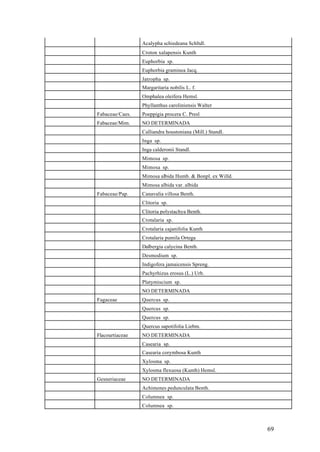 Acalypha schiedeana Schltdl.
                 Croton xalapensis Kunth
                 Euphorbia sp.
                 Euphorbia graminea Jacq.
                 Jatropha sp.
                 Margaritaria nobilis L. f.
                 Omphalea oleifera Hemsl.
                 Phyllanthus caroliniensis Walter
Fabaceae/Caes.   Poeppigia procera C. Presl
Fabaceae/Mim.    NO DETERMINADA
                 Calliandra houstoniana (Mill.) Standl.
                 Inga sp.
                 Inga calderonii Standl.
                 Mimosa sp.
                 Mimosa sp.
                 Mimosa albida Humb. & Bonpl. ex Willd.
                 Mimosa albida var. albida
Fabaceae/Pap.    Canavalia villosa Benth.
                 Clitoria sp.
                 Clitoria polystachya Benth.
                 Crotalaria sp.
                 Crotalaria cajanifolia Kunth
                 Crotalaria pumila Ortega
                 Dalbergia calycina Benth.
                 Desmodium sp.
                 Indigofera jamaicensis Spreng.
                 Pachyrhizus erosus (L.) Urb.
                 Platymiscium sp.
                 NO DETERMINADA
Fagaceae         Quercus sp.
                 Quercus sp.
                 Quercus sp.
                 Quercus sapotifolia Liebm.
Flacourtiaceae   NO DETERMINADA
                 Casearia sp.
                 Casearia corymbosa Kunth
                 Xylosma sp.
                 Xylosma flexuosa (Kunth) Hemsl.
Gesneriaceae     NO DETERMINADA
                 Achimenes pedunculata Benth.
                 Columnea sp.
                 Columnea sp.



                                                          69
 