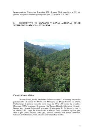la ocurrencia de 21 especies de reptiles, 139 de aves, 38 de mamíferos y 552 de
plantas, incluyendo nuevos registros para el país (Echeverría, et.al, 2007).



2-  COOPERATIVA EL MANZANO Y ZONAS ALEDAÑAS, DULCE
NOMBRE DE MARÍA, CHALATENANGO




Características ecológicas

       La zona visitada, fue los alrededores de la cooperativa El Manzano y los caseríos
pertenecientes al cantón El Ocotal del Municipio de Dulce Nombre de María,
Chalatenango; la zona se encuentra en un rango de 800 a l,400 msnm. De acuerdo a
Holdridge (1975), pertenece a la zona de vida: Bosque Húmedo Subtropical (fresco) y
Bosque Muy Húmedo Subtropical; pertenece a la subcuenca del río Sumpul el cual es
un tributario del Lempa. En zona visitada se observa fauna vertebrada: tigrillos, gato
onsa o gato zonto, coyotes, zorro gris, cusucos, venados cola blanca, mapaches,
halcones, probablemente puma, así como una variedad de insectos.




                                                                                      7
 