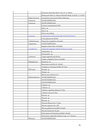 Drymonia macrantha (Donn. Sm.) D. N. Gibson
                   Phinaea parviflora (A. Braun & Bouché) Benth. & Hook. f. ex Soler.
Hippocrateaceae    Semialarium mexicanum (Miers) Mennega
Lamiaceae          NO DETERMINADA
Lamiaceae          NO DETERMINADA
                   Ocimum campechianum Mill.
                   Salvia sp.
                   Salvia sp.
                   Salvia urica Epling
Lauraceae          Cinnamomum costaricanum (Mez & Pittier) Kosterm.
                   Litsea glaucescens Kunth
Lentibulariaceae   Pinguicula mesophytica Zamudio
Loganiaceae        NO DETERMINADA
                   Spigelia scabra Cham. & Schltdl.
Loranthaceae       Cladocolea oligantha (Standl. & Steyerm.) Kuijt
                   Struthanthus sp.
                   Psittacanthus sp.
Lythraceae         Cuphea appendiculata Benth.
                   Cuphea calophylla Cham. & Schltdl.
Malpighiaceae      Bunchosia sp.
                   Byrsonima crassifolia (L.) Kunth
                   Tetrapterys schiedeana Schltdl. & Cham.
Malvaceae          Hampea sp.
                   Hampea sp.
                   Malvaviscus arboreus Cav.
Melastomataceae    NO DETERMINADA
                   NO DETERMINADA
                   NO DETERMINADA
                   Clidemia sp.
                   Clidemia sp.
                   Clidemia capitellata (Bonpl.) D. Don
                   Clidemia sericea D. Don
                   Miconia sp.
                   Miconia sp.
                   Miconia sp.
                   Miconia albicans (Sw.) Triana
                   Miconia argentea (Sw.) DC.
                   Miconia glaberrima (Schltdl.) Naudin
                   Miconia lauriformis Naudin
                   Monochaetum floribundum (Schltdl.) Naudin
                   Schwackaea cupheoides (Benth.) Cogn. ex T. Durand
Meliaceae          NO DETERMINADA



                                                                           70
 