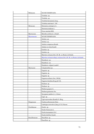 Meliaceae        NO DETERMINADA
                 Trichilia sp.
                 Trichilia sp.
                 Trichilia havanensis Jacq.
                 Trichilia martiana C. DC.
Moraceae         Dorstenia contrajerva L.
                 Dorstenia drakena L.
                 Ficus maxima Mill.
Myricaceae       Morella cerifera (L.) Small
Myrsinaceae      NO DETERMINADA
                 Ardisia sp.
                 Ardisia sp.
                 Ardisia compressa Kunth
                 Ardisia revoluta Kunth
                 Gentlea sp.
                 Gentlea sp.
                 Myrsine coriacea (Sw.) R. Br. ex Roem. & Schult.
                 Myrsine coriacea subsp. coriacea (Sw.) R. Br. ex Roem. & Schult.
                 Parathesis sp.
                 Parathesis sp.
                 Parathesis vulgata Lundell
Myrtaceae        Calyptranthes sp.
                 Eugenia sp.
                 Eugenia sp.
                 Eugenia sp.
                 Eugenia axillaris (Sw.) Willd.
                 Eugenia rhombea Krug & Urb.
                 Psidium sp.
                 Psidium sp.
                 Psidium guajava L.
                 Psidium guineense Sw.
                 Syzygium jambos (L.) Alston
                 Ugni sp.
                 Ugni myricoides (Kunth) O. Berg
Onagraceae       Fuchsia arborescens Sims
                 Ludwigia octovalvis (Jacq.) P. H. Raven
Oxalidaceae      Oxalis sp.
                 Oxalis frutescens L.
                 Oxalis hernandezii D.C.
                 Oxalis latifolia Kunth
Passifloraceae   Passiflora sp.
                 Passiflora sp.



                                                                         71
 