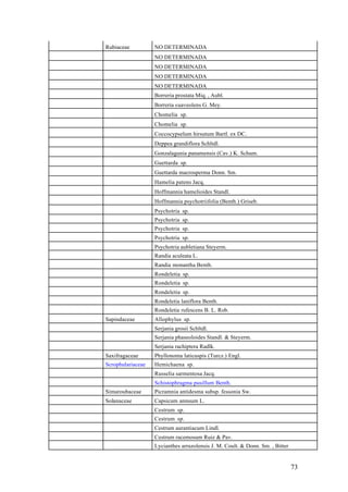 Rubiaceae          NO DETERMINADA
                   NO DETERMINADA
                   NO DETERMINADA
                   NO DETERMINADA
                   NO DETERMINADA
                   Borreria prostata Miq. , Aubl.
                   Borreria suaveolens G. Mey.
                   Chomelia sp.
                   Chomelia sp.
                   Coccocypselum hirsutum Bartl. ex DC.
                   Deppea grandiflora Schltdl.
                   Gonzalagunia panamensis (Cav.) K. Schum.
                   Guettarda sp.
                   Guettarda macrosperma Donn. Sm.
                   Hamelia patens Jacq.
                   Hoffmannia hamelioides Standl.
                   Hoffmannia psychotriifolia (Benth.) Griseb.
                   Psychotria sp.
                   Psychotria sp.
                   Psychotria sp.
                   Psychotria sp.
                   Psychotria aubletiana Steyerm.
                   Randia aculeata L.
                   Randia monantha Benth.
                   Rondeletia sp.
                   Rondeletia sp.
                   Rondeletia sp.
                   Rondeletia laniflora Benth.
                   Rondeletia rufescens B. L. Rob.
Sapindaceae        Allophylus sp.
                   Serjania grosii Schltdl.
                   Serjania phaseoloides Standl. & Steyerm.
                   Serjania rachiptera Radlk.
Saxifragaceae      Phyllonoma laticuspis (Turcz.) Engl.
Scrophulariaceae   Hemichaena sp.
                   Russelia sarmentosa Jacq.
                   Schistophragma pusillum Benth.
Simaroubaceae      Picramnia antidesma subsp. fessonia Sw.
Solanaceae         Capsicum annuum L.
                   Cestrum sp.
                   Cestrum sp.
                   Cestrum aurantiacum Lindl.
                   Cestrum racemosum Ruiz & Pav.
                   Lycianthes arrazolensis J. M. Coult. & Donn. Sm. , Bitter


                                                                               73
 