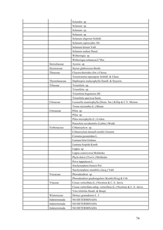 Solandra sp.
                Solanum sp.
                Solanum sp.
                Solanum sp.
                Solanum aligerum Schltdl.
                Solanum capsicoides All.
                Solanum hirtum Vahl
                Solanum nudum Dunal
                Witheringia sp.
                Witheringia solanacea L"Her.
Sterculiaceae   Ayenia sp.
Styracaceae     Styrax glabrescens Benth.
Theaceae        Cleyera theioides (Sw.) Choisy
                Ternstroemia tepezapote Schltdl. & Cham.
Thymelaeaceae   Daphnopsis malacophylla Standl. & Steyerm.
Tiliaceae       Triumfetta sp.
                Triumfetta sp.
                Triumfetta bogotensis DC.
                Triumfetta speciosa Seem.
Ulmaceae        Lozanella enantiophylla (Donn. Sm.) Killip & C.V. Morton
                Trema micrantha (L.) Blume
Urticaceae      Pilea sp.
                Pilea sp.
                Pilea microphylla (L.) Liebm.
                Pouzolzia occidentalis (Liebm.) Wedd.
Verbenaceae     Citharexylu m sp.
                Citharexylum donnell-smithii Greenm.
                Cornutia pyramidata L.
                Lantana hirta Graham
                Lantana hispida Kunth
                Lippia sp.
                Lippia controversa Moldenke
                Phyla dulcis (Trevir.) Moldenke
                Priva lappulacea L.
                Stachytarpheta frantzii Pol.
                Stachytarpheta mutabilis (Jacq.) Vahl
Viscaceae       Phoradendron sp.
                Phoradendron quadrangulare (Kunth) Krug & Urb.
Vitaceae        Cissus verticillata (L.) Nicolson & C. E. Jarvis
                Cissus verticillata subsp. verticillata (L.) Nicolson & C. E. Jarvis
                Vitis tiliifolia Humb. & Bonpl.
Winteraceae     Drimys granadensis L. f.
Indeterminada   NO DETERMINADA
Indeterminada   NO DETERMINADA
Indeterminada   NO DETERMINADA


                                                                             74
 