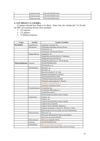 Indeterminada       NO DETERMINADA
                   Indeterminada       NO DETERMINADA
                   Indeterminada       NO DETERMINADA

6- SAN DIEGO Y LA BARRA
    El parque nacional San Diego y La Barra, Santa Ana, fue visitado del 7 al 10 julio
de 2007, las recolectas dieron como resultado:
    • 191 especies
    • 171 géneros
    • 72 familias botánicas


      Grupo          Familia                          Nombre Científico
Pteridofitos     Lygodiaceae       Lygodium venustum Sw.
                 Pteridaceae       Cheilanthes brachypus (Kunze) Kunze
                                   Notholaena sp.
                                   Notholaena meridionalis Mickel
                 Selaginellaceae   Selaginella sp.
                                   Selaginella acutifolia (Stolze) Valdespino
                                   Selaginella bernoullii Hieron.
                                   Selaginella pallescens (C. Presl) Spring
Monocotiledoneas Araceae           NO DETERMINADA
                                   Philodendron sp.
                 Bromeliaceae      Bromelia sp.
                                   Bromelia sp.
                                   Bromelia alsodes H. St. John
                                   Bromelia hemispherica Lamarck
                                   Hechtia guatemalensis Mez
                                   Tillandsia brachycaulos Schltdl.
                                   Tillandsia caput-medusae E. Morren
                                   Tillandsia ionantha Planch. *
                                   Tillandsia schiedeana Steud.
                 Commelinaceae     Commelina sp.
                                   Commelina diffusa Burm. f.
                                   Commelina erecta L.
                                   Dichorisandra hexandra (Aubl.) Standl.
                 Cyperaceae        Cyperus sp.
                                   Cyperus sp.
                                   Cyperus hermaphroditus (Jacq.) Standl.
                                   Cyperus laxus Lamarck
                                   Cyperus mutisii (Kunth) Andersson
                                   Cyperus tenerrimus J. Presl & C. Presl in C. Presl
                                   Rhynchospora nervosa subsp. nervosa (Vahl) Boeck.
                 Dioscoreaceae     Dioscorea sp.
                                   Dioscorea floribunda M. Martens & Galeotti
                                   Dioscorea mexicana Scheidw.
                 Heliconiaceae     Heliconia latispatha Benth.
                 Liliaceae         NO DETERMINADA
                 Orchidaceae       Brassavola nodosa (L.) Lindl.*
                                   Cyrtopodium paniculatum (Ruiz & Pavon) Garay



                                                                                        75
 