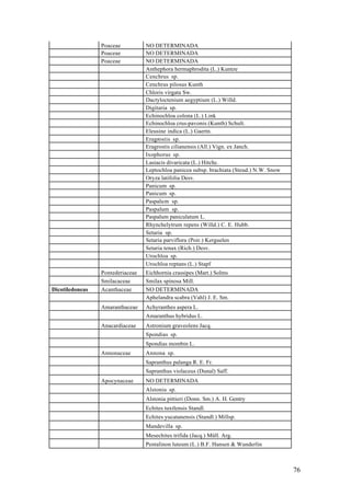 Poaceae          NO DETERMINADA
                 Poaceae          NO DETERMINADA
                 Poaceae          NO DETERMINADA
                                  Anthephora hermaphrodita (L.) Kuntze
                                  Cenchrus sp.
                                  Cenchrus pilosus Kunth
                                  Chloris virgata Sw.
                                  Dactyloctenium aegyptium (L.) Willd.
                                  Digitaria sp.
                                  Echinochloa colona (L.) Link
                                  Echinochloa crus-pavonis (Kunth) Schult.
                                  Eleusine indica (L.) Gaertn.
                                  Eragrostis sp.
                                  Eragrostis cilianensis (All.) Vign. ex Janch.
                                  Ixophorus sp.
                                  Lasiacis divaricata (L.) Hitchc.
                                  Leptochloa panicea subsp. brachiata (Steud.) N.W. Snow
                                  Oryza latifolia Desv.
                                  Panicum sp.
                                  Panicum sp.
                                  Paspalum sp.
                                  Paspalum sp.
                                  Paspalum paniculatum L.
                                  Rhynchelytrum repens (Willd.) C. E. Hubb.
                                  Setaria sp.
                                  Setaria parviflora (Poir.) Kerguelen
                                  Setaria tenax (Rich.) Desv.
                                  Urochloa sp.
                                  Urochloa reptans (L.) Stapf
                 Pontederiaceae   Eichhornia crassipes (Mart.) Solms
                 Smilacaceae      Smilax spinosa Mill.
Dicotiledoneas   Acanthaceae      NO DETERMINADA
                                  Aphelandra scabra (Vahl) J. E. Sm.
                 Amaranthaceae    Achyranthes aspera L.
                                  Amaranthus hybridus L.
                 Anacardiaceae    Astronium graveolens Jacq.
                                  Spondias sp.
                                  Spondias mombin L.
                 Annonaceae       Annona sp.
                                  Sapranthus palanga R. E. Fr.
                                  Sapranthus violaceus (Dunal) Saff.
                 Apocynaceae      NO DETERMINADA
                                  Alstonia sp.
                                  Alstonia pittieri (Donn. Sm.) A. H. Gentry
                                  Echites tuxtlensis Standl.
                                  Echites yucatanensis (Standl.) Millsp.
                                  Mandevilla sp.
                                  Mesechites trifida (Jacq.) Müll. Arg.
                                  Pentalinon luteum (L.) B.F. Hansen & Wunderlin



                                                                                           76
 