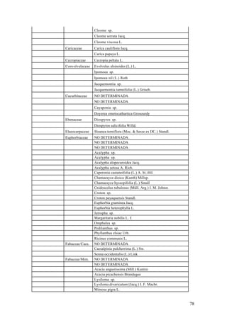 Cleome sp.
                 Cleome serrata Jacq.
                 Cleome viscosa L.
Caricaceae       Carica cauliflora Jacq.
                 Carica papaya L.
Cecropiaceae     Cecropia peltata L.
Convolvulaceae   Evolvulus alsinoides (L.) L.
                 Ipomoea sp.
                 Ipomoea nil (L.) Roth
                 Jacquemontia sp.
                 Jacquemontia tamnifolia (L.) Griseb.
Cucurbitaceae    NO DETERMINADA
                 NO DETERMINADA
                 Cayaponia sp.
                 Doyerea emetocathartica Grosourdy
Ebenaceae        Diospyros sp.
                 Diospyros salicifolia Willd.
Elaeocarpaceae   Sloanea terniflora (Moc. & Sesse ex DC.) Standl.
Euphorbiaceae    NO DETERMINADA
                 NO DETERMINADA
                 NO DETERMINADA
                 Acalypha sp.
                 Acalypha sp.
                 Acalypha alopecuroidea Jacq.
                 Acalypha setosa A. Rich.
                 Caperonia castaneifolia (L.) A. St.-Hil.
                 Chamaesyce dioica (Kunth) Millsp.
                 Chamaesyce hyssopifolia (L.) Small
                 Cnidoscolus tubulosus (Müll. Arg.) I. M. Johnst.
                 Croton sp.
                 Croton payaquensis Standl.
                 Euphorbia graminea Jacq.
                 Euphorbia heterophylla L.
                 Jatropha sp.
                 Margaritaria nobilis L. f.
                 Omphalea sp.
                 Pedilanthus sp.
                 Phyllanthus elsiae Urb.
                 Ricinus communis L.
Fabaceae/Caes.   NO DETERMINADA
                 Caesalpinia pulcherrima (L.) Sw.
                 Senna occidentalis (L.) Link
Fabaceae/Mim.    NO DETERMINADA
                 NO DETERMINADA
                 Acacia angustissima (Mill.) Kuntze
                 Acacia picachensis Brandegee
                 Lysiloma sp.
                 Lysiloma divaricatum (Jacq.) J. F. Macbr.
                 Mimosa pigra L.


                                                                    78
 