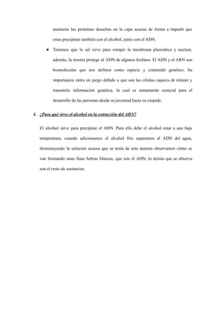 mantiene las proteínas disueltas en la capa acuosa de forma a impedir que
estas precipitan también con el alcohol, junto con el ADN.
● Tenemos que la sal sirve para romper la membrana plasmática y nuclear,
además, la misma protege al ADN de algunos fosfatos. El ADN y el ARN son
biomoléculas que nos definen como especie y contenido genético. Su
importancia entra en juego debido a que son las células capaces de retener y
transmitir información genética, la cual es sumamente esencial para el
desarrollo de las personas desde su juventud hasta su cúspide.
4. ¿Para qué sirve el alcohol en la extracción del ADN?
El alcohol sirve para precipitar el ADN. Para ello debe el alcohol estar a una baja
temperatura, cuando adicionamos el alcohol frío separamos el ADN del agua,
disminuyendo la solución acuosa que se tenía de esta manera observamos cómo se
van formando unas finas hebras blancas, que son el ADN, lo demás que se observa
son el resto de sustancias.
 