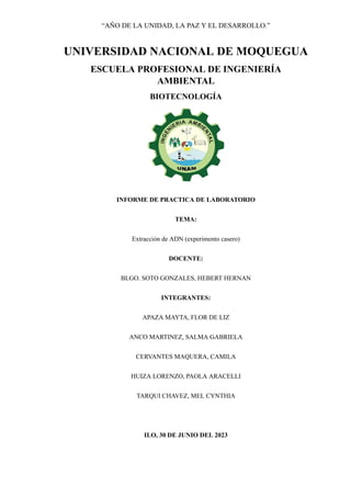 “AÑO DE LA UNIDAD, LA PAZ Y EL DESARROLLO.”
UNIVERSIDAD NACIONAL DE MOQUEGUA
ESCUELA PROFESIONAL DE INGENIERÍA
AMBIENTAL
BIOTECNOLOGÍA
INFORME DE PRACTICA DE LABORATORIO
TEMA:
Extracción de ADN (experimento casero)
DOCENTE:
BLGO. SOTO GONZALES, HEBERT HERNAN
INTEGRANTES:
APAZA MAYTA, FLOR DE LIZ
ANCO MARTINEZ, SALMA GABRIELA
CERVANTES MAQUERA, CAMILA
HUIZA LORENZO, PAOLA ARACELLI
TARQUI CHAVEZ, MEL CYNTHIA
ILO, 30 DE JUNIO DEL 2023
 