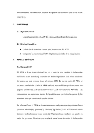 funcionamiento, características, además de apreciar la diversidad que existe en los
seres vivos.
2. OBJETIVOS
2.1 Objetivo General
Lograr la extracción del ADN del plátano, utilizando productos caseros.
2.2 Objetivo Específicos
● Utilización de productos caseros para la extracción del ADN.
● Comprobar la presencia del ADN del plátano por medio de la precipitación.
3. MARCO TEÓRICO
3.1. Que es el ADN
El ADN, o ácido desoxirribonucleico, es el material que contiene la información
hereditaria en los humanos y casi todos los demás organismos. Casi todas las células
del cuerpo de una persona tienen el mismo ADN. La mayor parte del ADN se
encuentra en el núcleo celular (o ADN nuclear), pero también se puede encontrar una
pequeña cantidad de ADN en las mitocondrias (ADN mitocondrial o ADNmt). Las
mitocondrias son estructuras dentro de las células que convierten la energía de los
alimentos para que las células la puedan utilizar.
La información en el ADN se almacena como un código compuesto por cuatro bases
químicas, adenina (A), guanina (G), citosina (C) y timina (T). El ADN humano consta
de unos 3 mil millones de bases, y más del 99 por ciento de esas bases son iguales en
todas las personas. El orden o secuencia de estas bases determina la información
 