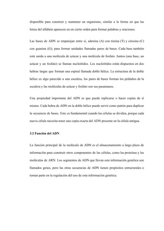 disponible para construir y mantener un organismo, similar a la forma en que las
letras del alfabeto aparecen en un cierto orden para formar palabras y oraciones.
Las bases de ADN se emparejan entre sí, adenina (A) con timina (T) y citosina (C)
con guanina (G); para formar unidades llamadas pares de bases. Cada base también
está unida a una molécula de azúcar y una molécula de fosfato. Juntos (una base, un
azúcar y un fosfato) se llaman nucleótidos. Los nucleótidos están dispuestos en dos
hebras largas que forman una espiral llamada doble hélice. La estructura de la doble
hélice es algo parecido a una escalera, los pares de bases forman los peldaños de la
escalera y las moléculas de azúcar y fosfato son sus pasamanos.
Una propiedad importante del ADN es que puede replicarse o hacer copias de sí
mismo. Cada hebra de ADN en la doble hélice puede servir como patrón para duplicar
la secuencia de bases. Esto es fundamental cuando las células se dividen, porque cada
nueva célula necesita tener una copia exacta del ADN presente en la célula antigua.
3.2 Función del ADN
La función principal de la molécula de ADN es el almacenamiento a largo plazo de
información para construir otros componentes de las células, como las proteínas y las
moléculas de ARN. Los segmentos de ADN que llevan esta información genética son
llamados genes, pero las otras secuencias de ADN tienen propósitos estructurales o
toman parte en la regulación del uso de esta información genética.
 