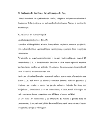 3.3 Explicación De Las Etapas De La Extracción De Adn
Cuando realizamos un experimento en ciencia, siempre es indispensable entender el
fundamento de las técnicas y por qué suceden los fenómenos. Veamos la explicación
de cada etapa.
3.3.1 Elección del material vegetal
Las plantas poseen tres tipos de ADN.
El nuclear, el cloroplástico. Además, la mayoría de las plantas presentan poliploidia,
esto es, la condición de algunas células u organismos de poseer más de un conjunto de
cromosomas.
Por ejemplo, los seres humanos tenemos el nuclear, y mitocondrial, dos pares de 23
cromosomas (23 x 2 = 46 cromosomas en total), es decir, somos diploides. Mientras
que las plantas pueden ser triploides (3 conjuntos de cromosomas), tetraploides (4
veces la cantidad de cromosomas) o más.
Las fresas cultivadas (Fragaria x ananassa) maduras son un material excelente para
extraer ADN. Son fáciles de triturar y contienen enzimas, llamadas pectinasas y
celulasas, que ayudan a romper las paredes celulares. Además, las fresas son
octoploides (7 cromosomas x 8 = 56 cromosomas), es decir, tienen ocho copias de
cada cromosoma, lo cual proporciona más ADN que la banana o el kiwi.
El kiwi tiene 29 cromosomas y es tetraploide. La banana o plátano tiene 11
cromosomas y la mayoría es triploide. Pero también se puede hacer este experimento
con cebollas, lentejas u otro vegetal.
 