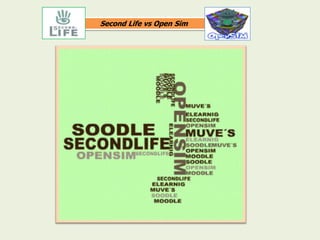 Second Life vs Open Sim
 