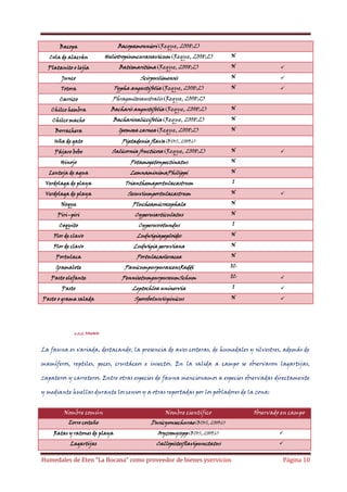 Bacopa

Bacopamonnieri(Reque, 2008:2)

Cola de alacrán

Heliotropiumcurassavicum(Reque, 2008:2)

N

Platanito o lejía

Batismaritima(Reque, 2008:2)

N



Junco

Scirpuslimensis

N



Totora

Typha angustifolia(Reque, 2008:2)

N



Carrizo

Phragmitesaustralis(Reque, 2008:2)

Chilco hembra

Bacharis angustifolia(Reque, 2008:2)

N

Chilco macho

Bacharissaliccifolia(Reque, 2008:2)

N

Borrachera

Ipomoea carnea(Reque, 2008:2)

N

Uña de gato

Piptadenia flava(BIOS, 2009:6)

Pájaro bobo

Salicornia fructicosa(Reque, 2008:2)

N

Hinojo

Potamogetonpectinatus

N

Lenteja de agua

LemnaminimaPhilippi

N

Verdolaga de playa

Trianthemaportulacastrum

I

Verdolaga de playa

Sesuviumportulacastrum

N

Noque

Plucheamicrocephala

N

Piri–piri

Cyperusarticulatus

N

Coquito

Cyperusrotundus

I

Flor de clavo

Ludwigiapeploides

N

Flor de clavo

Ludwigia peruviana

N

Portulaca

Portulacaoleracea

N

Gramalote

PanicumpurpurascensRaddi

IC

Pasto elefante

PennisetumpurpureumSchum

IC



Pasto

Leptochloa uninervia

I



Sporobolusvirginicus

N



Pasto o grama salada





v.2.2. FAUNA:

La fauna es variada, destacando, la presencia de aves costeras, de humedales y silvestres, además de
mamíferos, reptiles, peces, crustáceos e insectos. En la salida a campo se observaron lagartijas,
zapateros y carreteros. Entre otras especies de fauna mencionamos a especies observadas directamente
y mediante huellas durante los censos y a otras reportadas por los pobladores de la zona:
Nombre común

Nombre científico

Zorro costeño

Dusicyonsechurae(BIOS, 2009:6)

Ratas y ratones de playa

Oryzomysspp(BIOS, 2009:6)



Lagartijas

Callopistesflavipunctatus



Humedales de Eten “La Bocana” como proveedor de bienes yservicios

Observado en campo

Página 10

 
