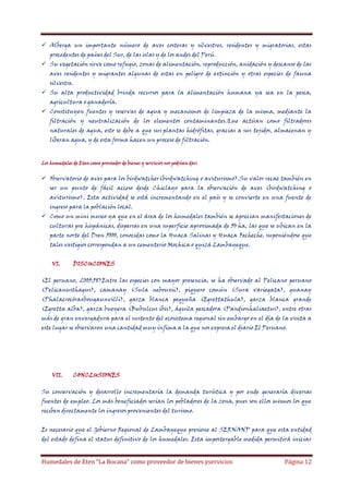  Alberga un importante número de aves costeras y silvestres, residentes y migratorias, estas
procedentes de países del Sur, de las islas y de los andes del Perú.
 Su vegetación sirve como refugio, zonas de alimentación, reproducción, anidación y descanso de las
aves residentes y migrantes algunas de estas en peligro de extinción y otras especies de fauna
silvestre.
 Su alta productividad brinda recursos para la alimentación humana ya sea en la pesca,
agricultura o ganadería.
 Constituyen fuentes y reservas de agua y mecanismos de limpieza de la misma, mediante la
filtración y neutralización de los elementos contaminantes.Que actúan como filtradores
naturales de agua, esto se debe a que sus plantas hidrófitas, gracias a sus tejidos, almacenan y
liberan agua, y de esta forma hacen un proceso de filtración.

Los humedales de Eten como proveedor de bienes y servicios nos podrían dar:

 Observatorio de aves para los birdwatcher(birdwatching o aviturismo).Su valor recae también en
ser un punto de fácil acceso desde Chiclayo para la observación de aves (birdwatching o
aviturismo). Esta actividad se está incrementando en el país y se convierte en una fuente de
ingreso para la población local.
 Como un mini museo ya que en el área de los humedales también se aprecian manifestaciones de
culturas pre hispánicas, dispersas en una superficie aproximada de 50 ha, las que se ubican en la
parte norte del Dren 5000, conocidas como la Huaca Salinas y Huaca Fecheche, suponiéndose que
tales vestigios correspondan a un cementerio Mochica o quizá Lambayeque.
VI.

DISCUCIONES

(El peruano, 2005:58)Entre las especies con mayor presencia, se ha observado al Pelicano peruano
(Pelicanusthagus), camanay (Sula nebouxii), piquero común (Sura variegata), guanay
(Phalacrocóraxbougaunvilli), garza blanca pequeña (Egrettathula), garza blanca grande
(Egretta alba), garza bueyera (Bubulcus ibis), águila pescadora (Pandionhaliaetus), entre otras
más de gran envergadura para el sustento del ecosistema regional sin embargo en el día de la visita a
este lugar se observaron una cantidad muy ínfima a la que nos expresa el diario El Peruano.

VII.

CONCLUSIONES

Su conservación y desarrollo incrementaría la demanda turística y por ende generaría diversas
fuentes de empleo. Los más beneficiados serían los pobladores de la zona, pues son ellos mismos los que
reciben directamente los ingresos provenientes del turismo.
Es necesario que el Gobierno Regional de Lambayeque presione al SERNANP para que esta entidad
del estado defina el status definitivo de los humedales. Esta impostergable medida permitirá iniciar

Humedales de Eten “La Bocana” como proveedor de bienes yservicios

Página 12

 