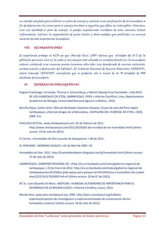 un estudio completo para elaborar un plan de manejo y realizar una zonificación de los humedales a
fin de determinar las zonas para el manejo turístico y aquellas que deben ser intangibles. Asimismo,
una vez aprobado el plan de manejo, se pueden implementar miradores de aves, caminos, kioscos
informativos, realizar la capacitación de guías locales y otras medidas que posibiliten un manejo
racional de estos importantes humedales.
VIII.

RECOMENDACIONES

Es importante proteger el HLB ya que (Mundo Azul, 2005) afirma que alrededor del 60 % de la
población peruana vive en la costa y casi siempre está ubicada en contacto directo con los humedales
costeros, existiendo una inmensa presión humana sobre éstos (uso desordenado de recursos naturales,
contaminación y destrucción del hábitat). El Instituto Nacional de Recursos Naturales (INRENA),
ahora llamado SERNANP, manifiesta que se perdieron solo a inicios de los 90 alrededor de 3000
hectáreas de humedales.
IX.

REFERENCIAS BIBLIOGRÁFICAS

Angulo Pratolongo, Fernando, Thomas S. Schulenberg, y Elberth Edevaly Puse Fernández. «LAS AVES
DE LOS HUMEDALES DE ETEN, LAMBAYEQUE, PERÚ.» Informe Científico, Lima, Departamento
Académico de Biología, Universidad Nacional Agraria La Molina., 2010.
Bernilla Rojas, Carlos Javier, Manuel Alcibíades Cayetano Vásquez, Grupo de aves del Perú región
Lambayeque, y Bioclub Amigos de la Naturaleza. «AVIFAUNA DEL HUMEDAL DE ETEN.» BIOS,
2009: 5-6.
CHICLAYO ACTUAL. www.chiclayoactual.com. 02 de Febrero de 2011.
http://www.chiclayoactual.com/2011/02/0202-dia-mundial-de-los-humedales.html (último
acceso: 19 de Julio de 2012).
El Correo. «Humedales de Eten a punto de desaparecer.» 08 de 2011.
EL PERUANO. «NORMAS LEGALES.» 01 de Abril de 2005: 10.
Humedales de Eten. 2011. http://humedalesdeeten.blogspot.com/p/humedales.html (último acceso:
17 de Julio de 2012).
LAMBAYEQUE, GOBIERNO REGIONAL DE. «http://es-es.facebook.com/notes/gobierno-regional-delambayeque.» 23 de Enero de 2012. http://es-es.facebook.com/notes/gobierno-regional-delambayeque/acu%C3%B1a-pide-apoyo-para-parque-tem%C3%A1tico-y-humedales-de-ciudadeten/221576117933003?ref=nf (último acceso: 20 de 07 de 2012).
M. Sc. Juan Eduardo Gil Mora. «BOFEDAL: HUMEDAL ALTOANDINO DE IMPORTANCIA PARA EL
DESARROLO DE LA REGION CUZCO.» Informe Científico, Cuzco, 2011.
Mundo Azul. www.peru.mundoazul.org. 2005. http://peru.mundoazul.org/habitatsespecies/proyectos-de-investigacion-y-exploracion/estado-de-conservacion-de-loshumedales-costeros/ (último acceso: 18 de Julio de 2012).

Humedales de Eten “La Bocana” como proveedor de bienes yservicios

Página 13

 