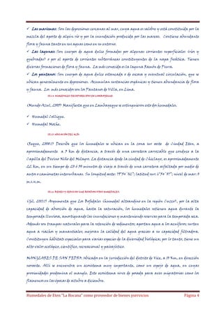  Las marismas: Son las depresiones cercanas al mar, cuya agua es salobre y está constituida por la
mezcla del aporte de algún río y por la inundación producida por las mareas. Contiene abundante
flora y fauna tanto en sus aguas como en su entorno.
 Las lagunas: Son cuerpos de agua dulce formadas por algunas corrientes superficiales (ríos y
quebradas) o por el aporte de corrientes subterráneas constituyentes de la napa freática. Tienen
diversas formaciones de flora y fauna. La más conocida es la laguna Ramón de Piura.
 Los pantanos: Son cuerpos de agua dulce estancada o de escasa y eventual circulación, que se
ubican generalmente en depresiones. Acumulan sustancias orgánicas y tienen abundancia de flora
y fauna. Los más conocidos son los Pantanos de Villa, en Lima.
III.1.4. HUMEDALES DESAPARECIDOS EN LAMBAYEQUE:

(Mundo Azul, 2005) Manifiesta que en Lambayeque se extinguieron esto dos humedales.
 Humedal Collique.
 Humedal Moche.
III.1.5. UBICACIÓN DEL HLB:

(Reque, 2008:1) Describe que los humedales se ubican en la zona sur oeste

de Ciudad Eten, a

aproximadamente a 3 km de distancia, a través de una carretera carrozable que conduce a la
Capilla del Divino Niño del Milagro. La distancia desde la ciudad de Chiclayo, es aproximadamente
22 km, en un tiempo de 20 ó 30 minutos de viaje a través de una carretera asfaltada por medio de
autos o camionetas interurbanas. Su longitud oeste: 79°54´02”; latitud sur: 6°54´07”; nivel de mar: 0
m.s.n.m.
III.1.6. BIENES Y SERVICIOS QUE BRINDAN OTROS HUMEDALES:

(Gil, 2011:1) Argumenta que Los Bofedales (humedal altoandino en la región Cuzco), por la alta
capacidad de absorción de agua, hasta la saturación, los humedales retienen agua durante la
temporada lluviosa, amortiguando las inundaciones y manteniendo reservas para la temporada seca.
Además son trampas naturales para la retención de sedimentos; aportan agua a los acuíferos; surten
agua a riachos y manantiales; mejoran la calidad del agua gracias a su capacidad filtradora.
Constituyen hábitats especiales para varias especies de la diversidad biológica; por lo tanto, tiene un
alto valor ecológico, científico, recreacional y paisajístico.
MANGLARES DE SAN PEDRO: Ubicados en la jurisdicción del distrito de Vice, a 10 Km, en dirección
noroeste. Allí se encuentra un ecosistema muy importante, como un espejo de agua, en cuyas
proximidades predomina el mangle. Este ecosistema sirve de posada para aves migratorias como los
flamencos en las épocas de octubre a diciembre.

Humedales de Eten “La Bocana” como proveedor de bienes yservicios

Página 4

 
