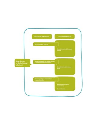 NÚCLEOS DE APRENDIZAJE EJES DE APRENDIZAJE
Conocimiento del entorno
social
Razonamiento lógico-
matemático
Cuantificación
Seres vivos y su entorno	
Grupos humanos, sus formas de vida
y acontecimientos relevantes
Relaciones lógico-matemáticas
y cuantificación
Descubrimiento del mundo
natural
Relación con
el Medio Natural
y Cultural
 