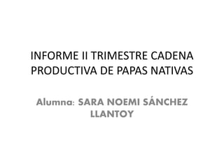 INFORME II TRIMESTRE CADENA
PRODUCTIVA DE PAPAS NATIVAS
Alumna: SARA NOEMI SÁNCHEZ
LLANTOY
 