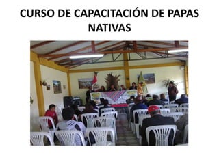 CURSO DE CAPACITACIÓN DE PAPAS
NATIVAS
 