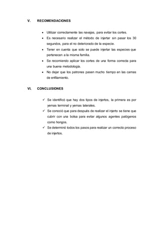 V. RECOMENDACIONES
 Utilizar correctamente las navajas, para evitar los cortes.
 Es necesario realizar el método de injertar sin pasar los 30
segundos, para el no deteriorado de la especie.
 Tener en cuenta que solo se puede injertar las especies que
pertenecen a la misma familia.
 Se recomiendo aplicar los cortes de una forma correcta para
una buena metodología.
 No dejar que los patrones pasen mucho tiempo en las camas
de enfilamiento.
VI. CONCLUSIONES
 Se identificó que hay dos tipos de injertos, la primera es por
yemas terminal y yemas laterales.
 Se conoció que para después de realizar el injerto se tiene que
cubrir con una bolsa para evitar algunos agentes patógenos
como hongos.
 Se determinó todos los pasos para realizar un correcto proceso
de injertos.
 