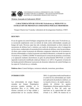 UNIVERSIDAD NACIONAL EXPERIMENTAL DEL TÁCHIRA
VICERRECTORADO ACADÉMICO - DECANATO DE POSTGRADO
MAESTRÍA EN AGRONOMÍA PRODUCCIÓN VEGETAL
Técnicas Avanzadas de Laboratorio 2016-B
CARACTERIZACIÓN DE CEPAS DE Trichoderma sp. MEDIANTE LA
EXTRACCIÓN DE PROTEÍNAS E ISOENZIMAS POR ELECTROFORESIS
Vázquez Chacón Jose Yvanosky. Laboratorio de Investigaciones Genéticas. UNET.
RESUMEN
El uso de agentes de control biológico antagonistas del suelo, tales como Trichoderma sp.,
es reconocido ampliamente como un método de lucha contra enfermedades causadas por
hongos del suelo. Diversas cepas han sido evaluadas, determinando su efecto inductor de
mecanismos de defensa local y sistémico, por medio de interacciones entre el antagonista
con las raíces, conduciendo a la acumulación de moléculas de defensa, como las peroxidasas.
Al efecto, para evaluar la presencia de diferentes compuestos inductores de la resistencia a
diversas enfermedades se realizó la presente actividad de laboratorio, evaluando las cepas de
Trichoderma sp. LIG064 y LIG006. El material para la extracción de proteínas e isoenzimas,
y la separación mediante electroforesis en geles de poliacrilamida SDS-PAGE, se realizó
siguiendo el protocolo modificado citado por Salazar et al. (2011). En general, la lectura de
las bandas permitió diferenciar la presencia de elementos inductores de control biológico en
las cepas de Trichoderma sp. evaluadas.
Palabras clave: Control biológico, resistencia inducida, isoenzimas, peroxidasas.
INTRODUCCIÓN
Las enfermedades de origen fúngico
causadas por hongos fitopatógenos
provocan grandes pérdidas en la
agricultura (Rey et al., 2000); estas
mermas consisten en la baja calidad y
productividad de las cosechas (Monte,
2001). La agricultura tradicional basada en
el control de las enfermedades por medio
de la aplicación de productos sintéticos, en
su mayoría tóxicos y de amplio espectro,
además de eliminar los agentes
fitopatógenos, eliminan agentes benéficos,
incluyendo la flora del suelo que
interviene en la supresividad del suelo
(Vinale et al., 2008). De manera tal, se
 