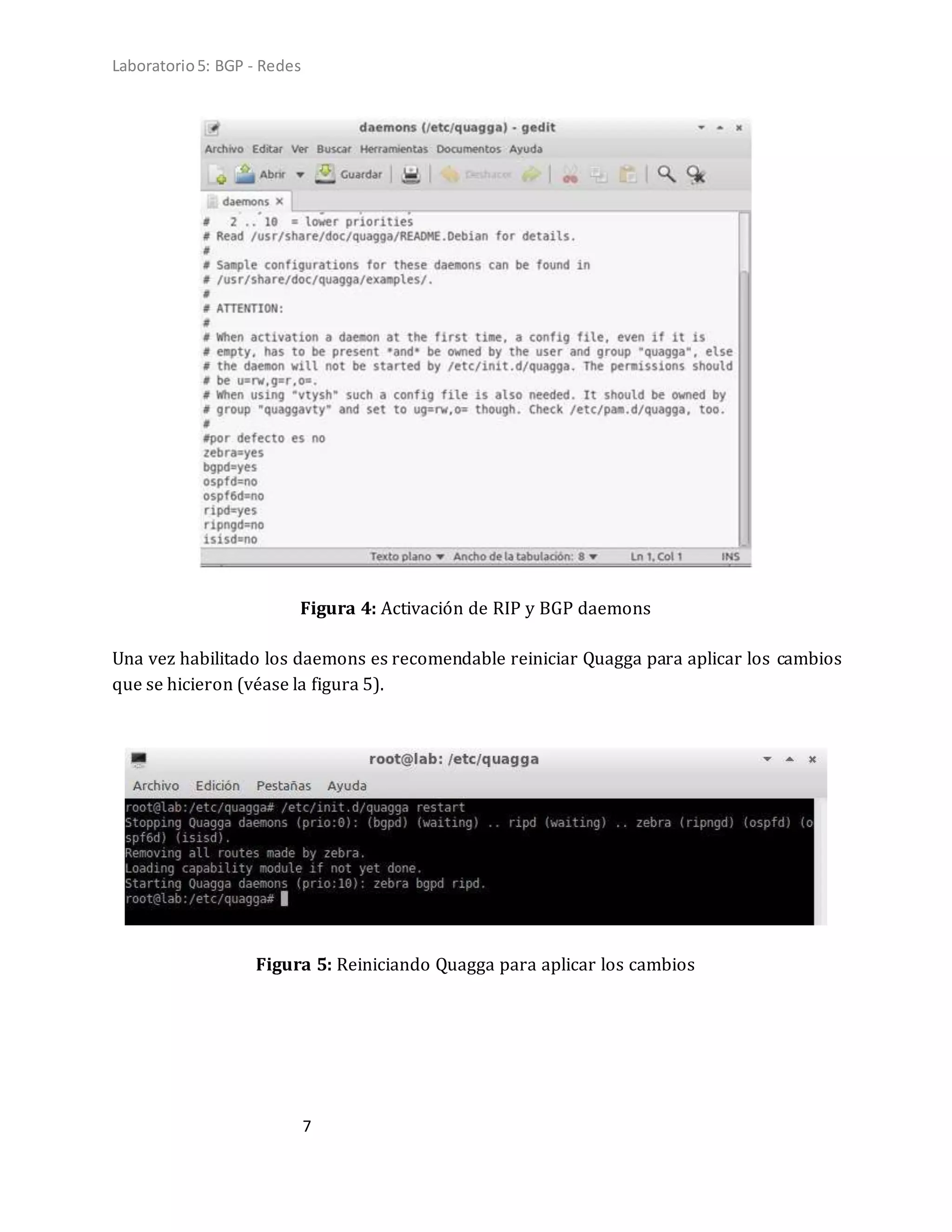 Laboratorio5: BGP - Redes
7
Figura 4: Activación de RIP y BGP daemons
Una vez habilitado los daemons es recomendable reiniciar Quagga para aplicar los cambios
que se hicieron (véase la figura 5).
Figura 5: Reiniciando Quagga para aplicar los cambios
 