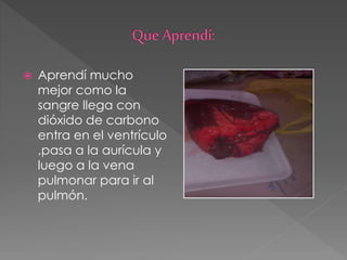  Aprendí mucho
mejor como la
sangre llega con
dióxido de carbono
entra en el ventrículo
,pasa a la aurícula y
luego a la vena
pulmonar para ir al
pulmón.
 