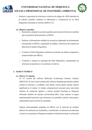 Mega Dna Program Aplicación del software MEGA DNA y construcción de árbol filogenético | PDF