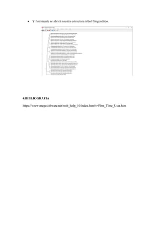 • Y finalmente se abrirá nuestra estructura árbol filogenético.
4.BIBLIOGRAFIA
https://www.megasoftware.net/web_help_10/index.htm#t=First_Time_User.htm
 