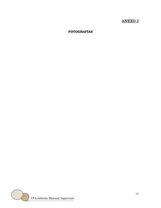 14
FPA-Informe Mensual Supervisor
ANEXO 3
FOTOGRAFÍAS
 