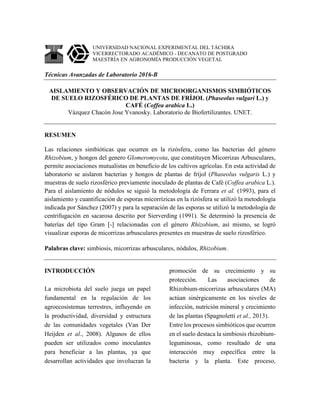 UNIVERSIDAD NACIONAL EXPERIMENTAL DEL TÁCHIRA
VICERRECTORADO ACADÉMICO - DECANATO DE POSTGRADO
MAESTRÍA EN AGRONOMÍA PRODUCCIÓN VEGETAL
Técnicas Avanzadas de Laboratorio 2016-B
AISLAMIENTO Y OBSERVACIÓN DE MICROORGANISMOS SIMBIÓTICOS
DE SUELO RIZOSFÉRICO DE PLANTAS DE FRÍJOL (Phaseolus vulgari L.) y
CAFÉ (Coffea arabica L.)
Vázquez Chacón Jose Yvanosky. Laboratorio de Biofertilizantes. UNET.
RESUMEN
Las relaciones simbióticas que ocurren en la rizósfera, como las bacterias del género
Rhizobium, y hongos del genero Glomeromycota, que constituyen Micorrizas Arbusculares,
permite asociaciones mutualistas en beneficio de los cultivos agrícolas. En esta actividad de
laboratorio se aislaron bacterias y hongos de plantas de fríjol (Phaseolus vulgaris L.) y
muestras de suelo rizosférico previamente inoculado de plantas de Café (Coffea arabica L.).
Para el aislamiento de nódulos se siguió la metodología de Ferrara et al. (1993), para el
aislamiento y cuantificación de esporas micorrízicas en la rizósfera se utilizó la metodología
indicada por Sánchez (2007) y para la separación de las esporas se utilizó la metodología de
centrifugación en sacarosa descrito por Sierverding (1991). Se determinó la presencia de
baterías del tipo Gram - relacionadas con el género Rhizobium, así mismo, se logró
visualizar esporas de micorrizas arbusculares presentes en muestras de suelo rizosférico.
Palabras clave: simbiosis, micorrizas arbusculares, nódulos, Rhizobium.
INTRODUCCIÓN
La microbiota del suelo juega un papel
fundamental en la regulación de los
agroecosistemas terrestres, influyendo en
la productividad, diversidad y estructura
de las comunidades vegetales (Van Der
Heijden et al., 2008). Algunos de ellos
pueden ser utilizados como inoculantes
para beneficiar a las plantas, ya que
desarrollan actividades que involucran la
promoción de su crecimiento y su
protección. Las asociaciones de
Rhizobium-micorrizas arbusculares (MA)
actúan sinérgicamente en los niveles de
infección, nutrición mineral y crecimiento
de las plantas (Spagnoletti et al., 2013).
Entre los procesos simbióticos que ocurren
en el suelo destaca la simbiosis rhizobium-
leguminosas, como resultado de una
interacción muy específica entre la
bacteria y la planta. Este proceso,
 