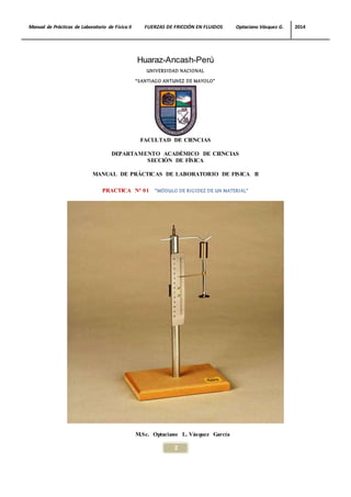 Modulo De Rigidez Pdf