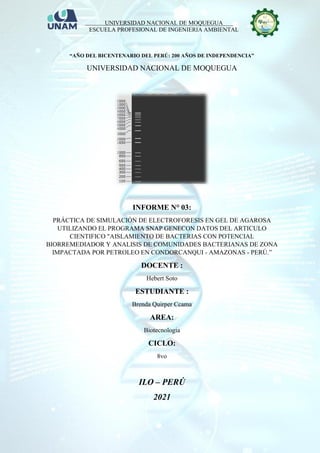 UNIVERSIDAD NACIONAL DE MOQUEGUA
ESCUELA PROFESIONAL DE INGENIERIA AMBIENTAL
“AÑO DEL BICENTENARIO DEL PERÚ: 200 AÑOS DE INDEPENDENCIA”
UNIVERSIDAD NACIONAL DE MOQUEGUA
INFORME N° 03:
PRÁCTICA DE SIMULACIÓN DE ELECTROFORESIS EN GEL DE AGAROSA
UTILIZANDO EL PROGRAMA SNAP GENECON DATOS DEL ARTICULO
CIENTIFICO "AISLAMIENTO DE BACTERIAS CON POTENCIAL
BIORREMEDIADOR Y ANALISIS DE COMUNIDADES BACTERIANAS DE ZONA
IMPACTADA POR PETROLEO EN CONDORCANQUI - AMAZONAS - PERÚ.”
DOCENTE :
Hebert Soto
ESTUDIANTE :
Brenda Quirper Ccama
AREA:
Biotecnologia
CICLO:
8vo
ILO – PERÚ
2021
 