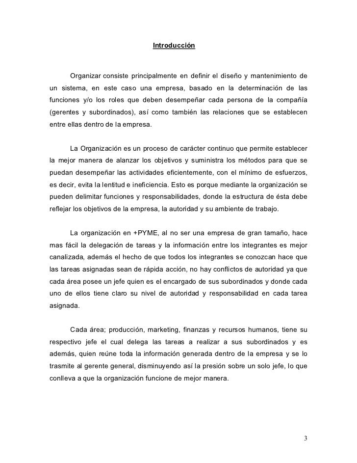Informe Nº2 - Organización