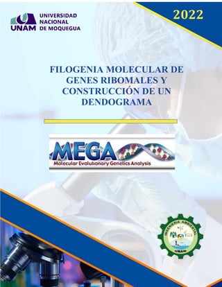 UNIVERSIDAD NACIONAL DE MOQUEGUA
ESCUELA PROFESIONAL DE INGENIERÍA AMBIENTAL
2022
FILOGENIA MOLECULAR DE
GENES RIBOMALES Y
CONSTRUCCIÓN DE UN
DENDOGRAMA
 