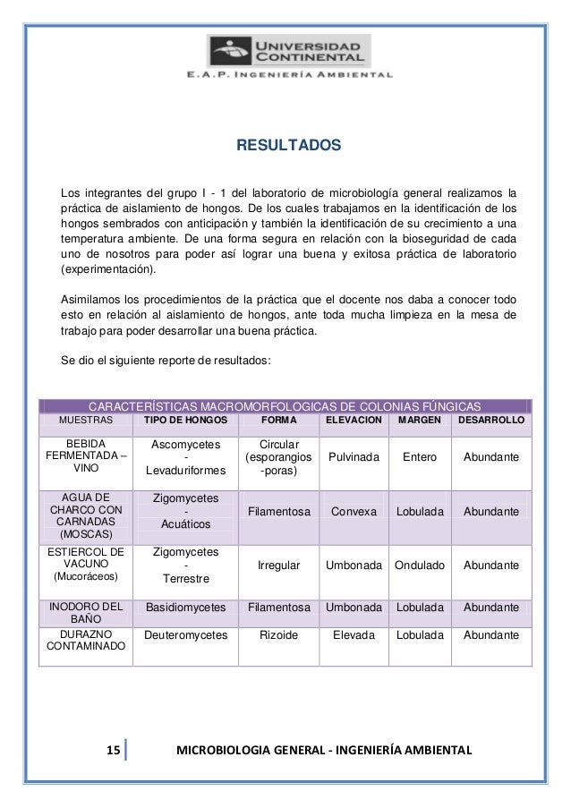 Los precios ekzoderila rostov-en-donu