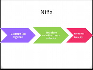 Niña
Conoce las
figuras
Establece
relación con su
entorno
Identifica
tamaños
 