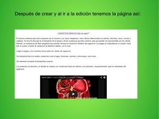 Después de crear y al ir a la edición tenemos la página así:
 