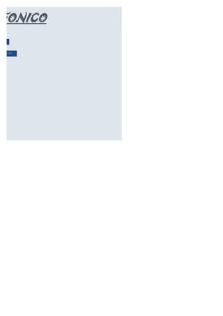 EFONICO
7-08

ONICO:
 